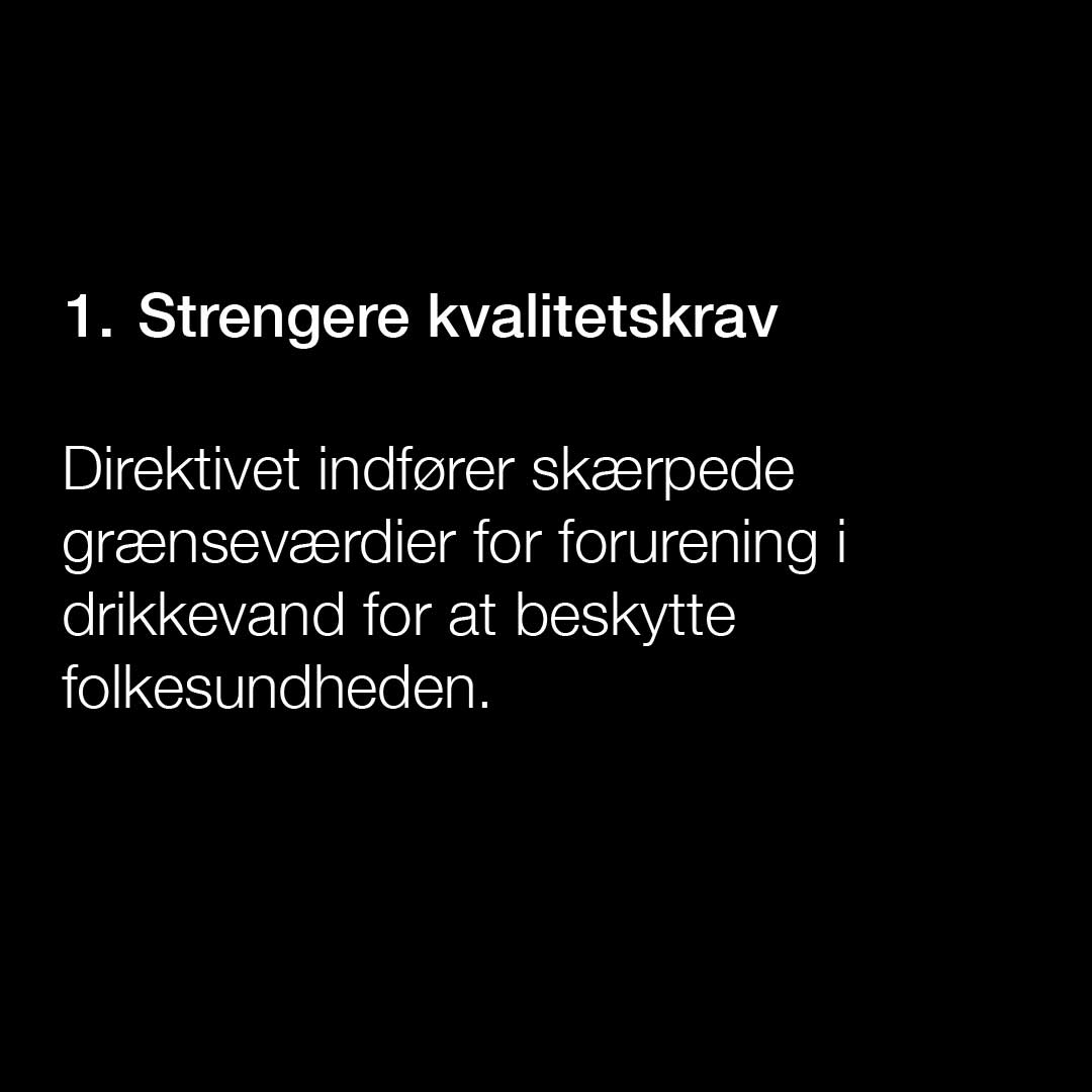 DK1.jpg