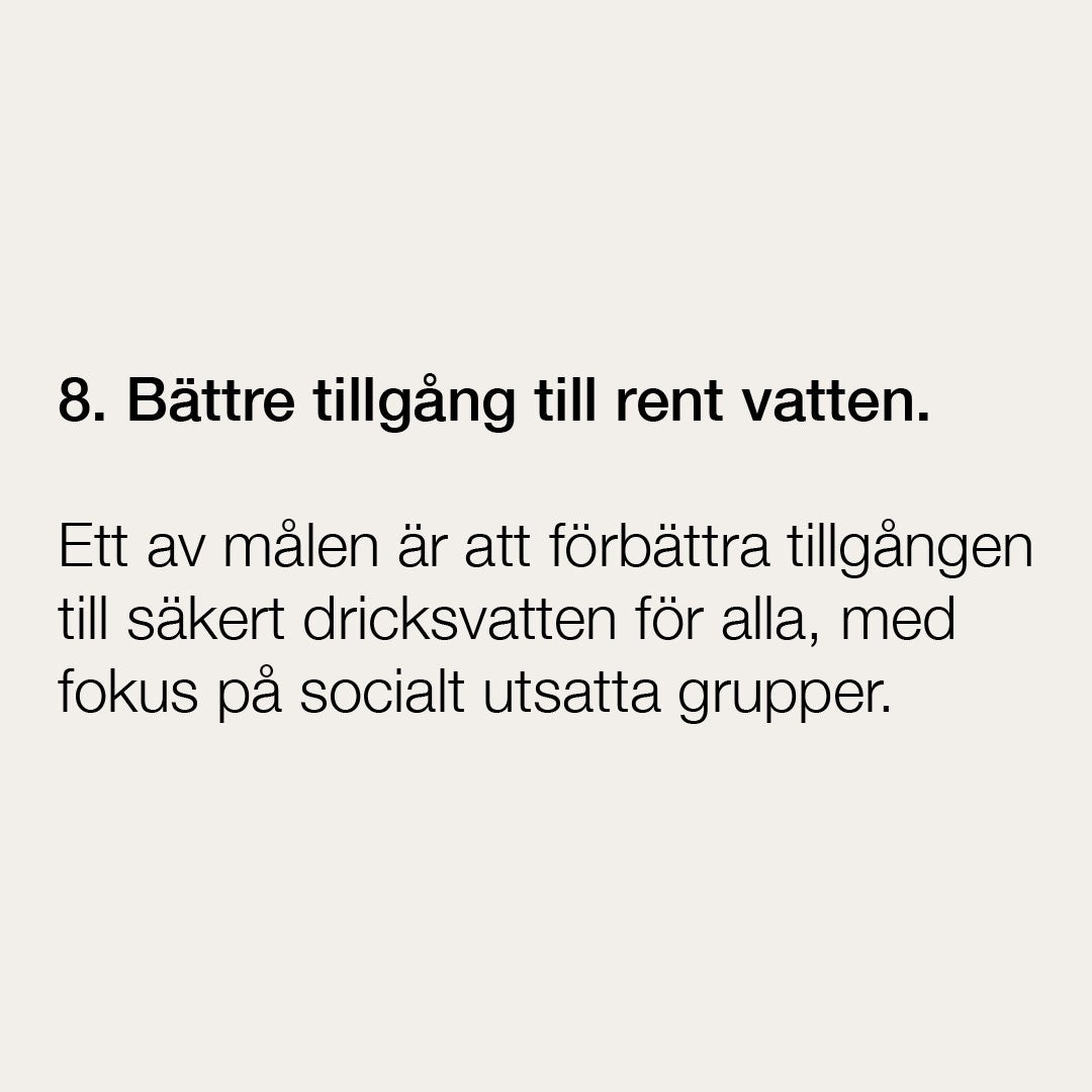 SV8.jpg