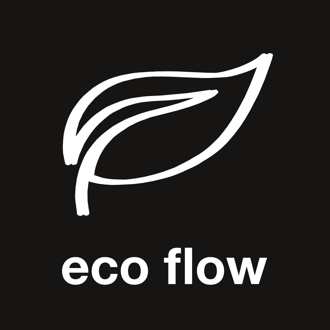 ecoflow.jpg
