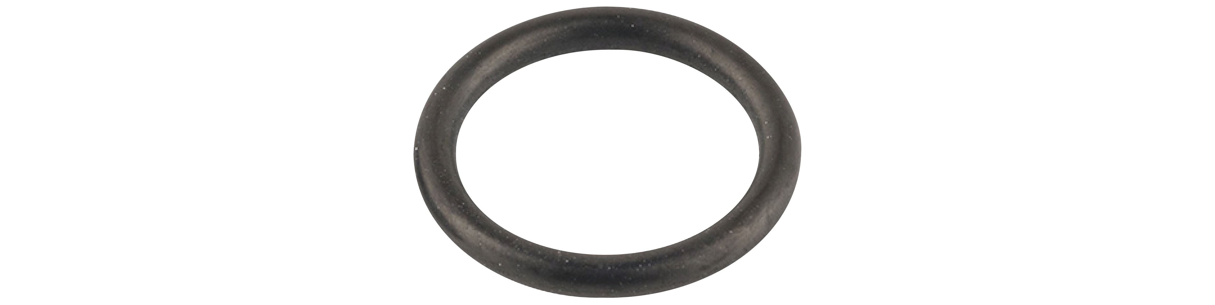 O-ring 10,1x1,6