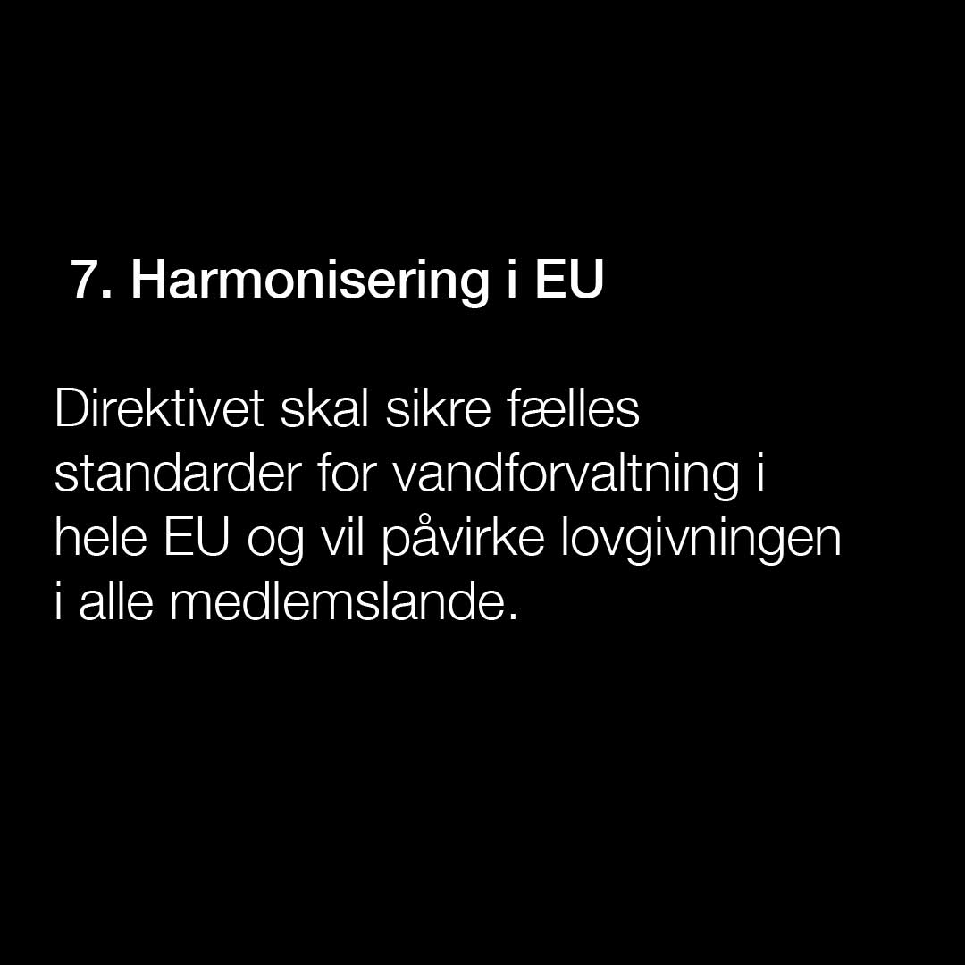 DK7.jpg