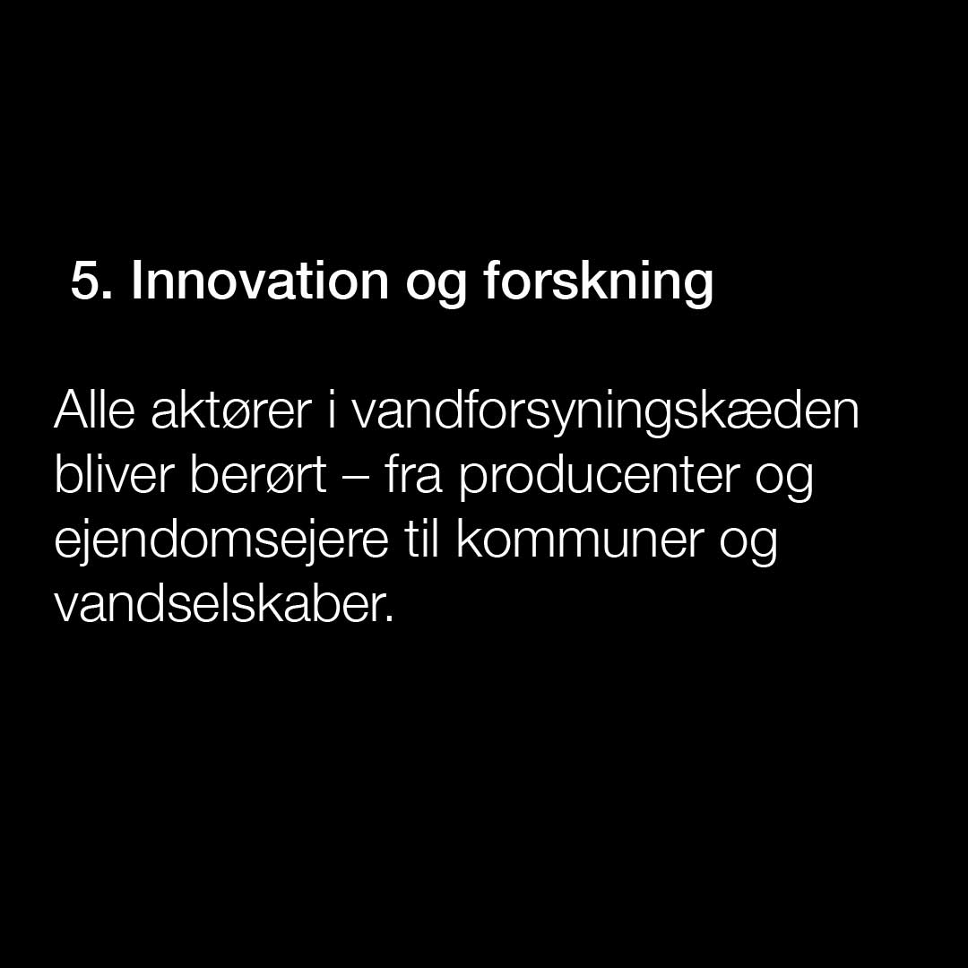 DK5.jpg